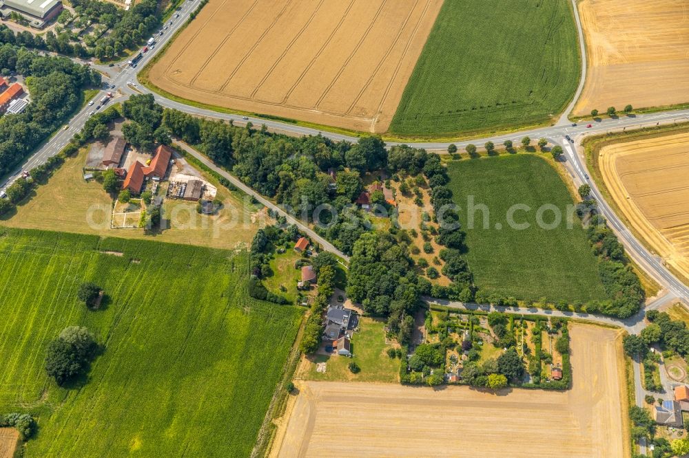 Aerial image Natorp - Village - view on the edge of agricultural fields and farmland in Natorp in the state North Rhine-Westphalia, Germany