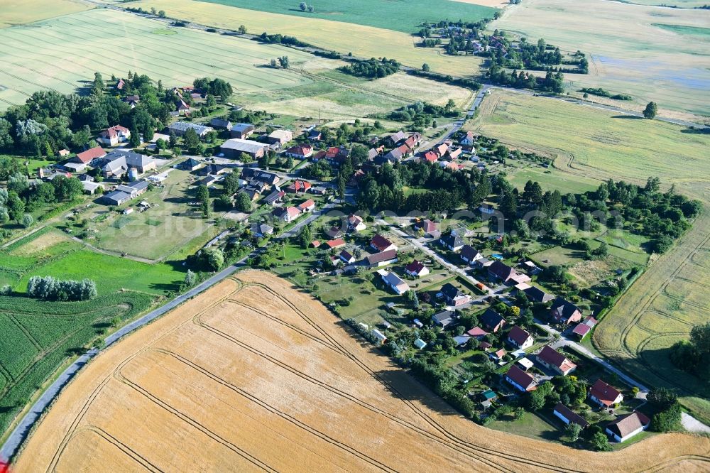 Aerial photograph Neu Käbelich - Village - view on the edge of agricultural fields and farmland in Neu Kaebelich in the state Mecklenburg - Western Pomerania, Germany