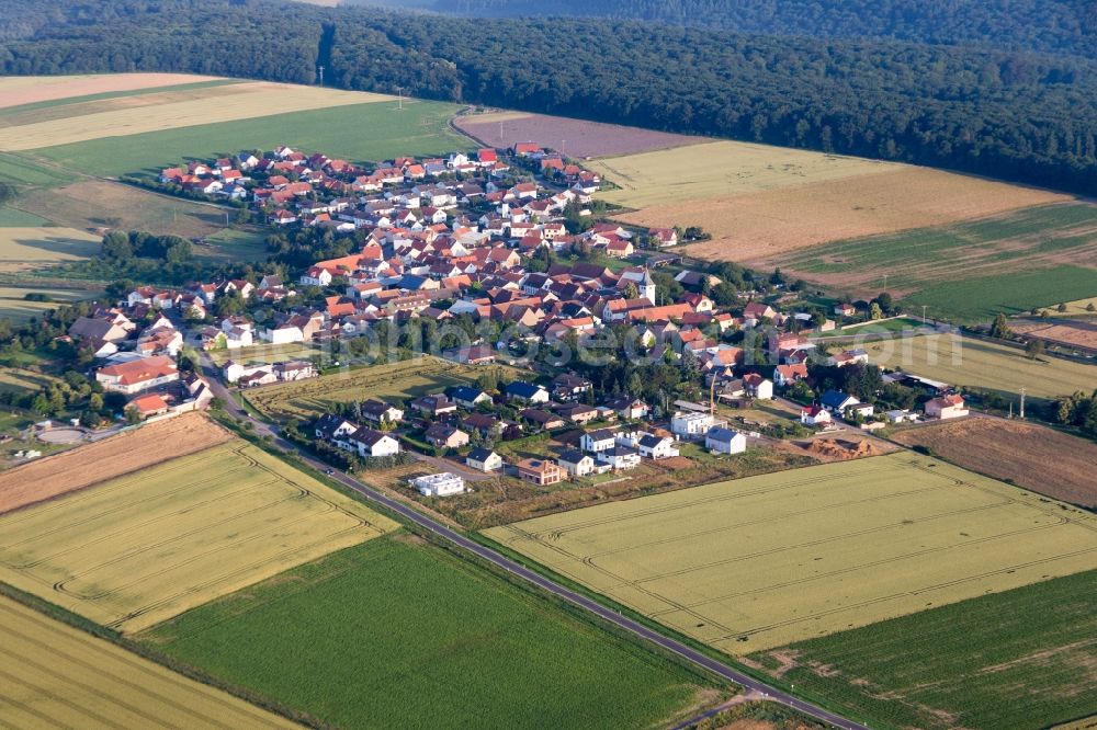 Aerial photograph Orbis - Village - view on the edge of agricultural fields and farmland in Orbis in the state Rhineland-Palatinate, Germany