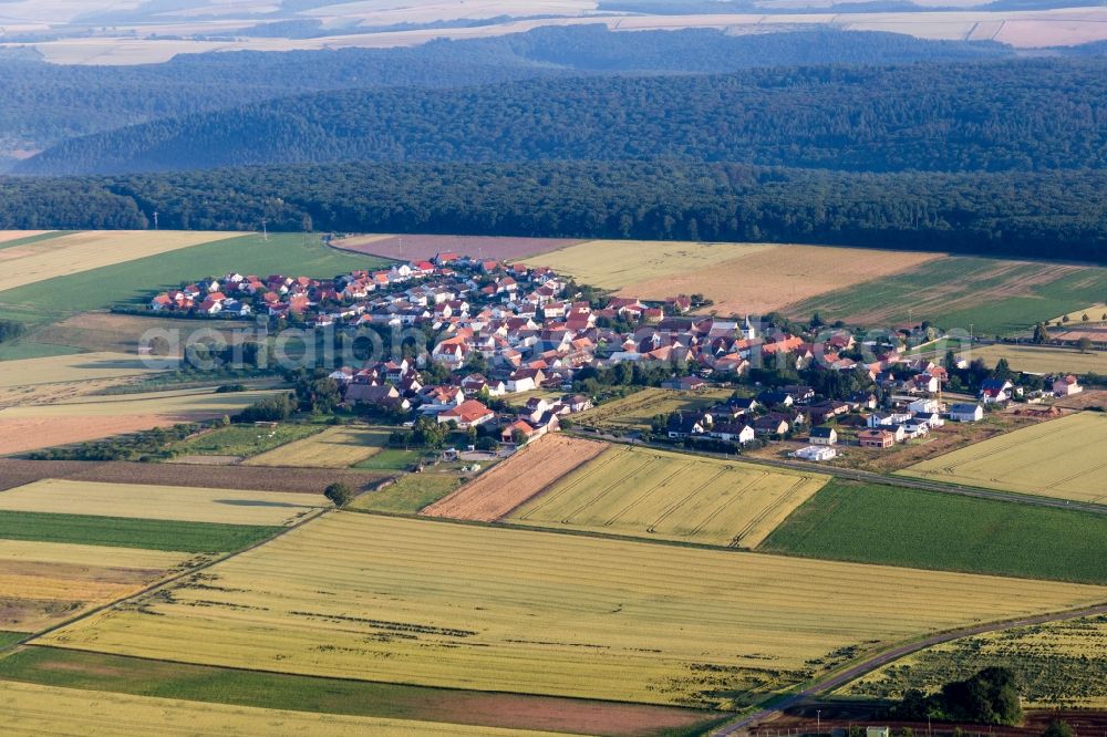 Aerial image Orbis - Village - view on the edge of agricultural fields and farmland in Orbis in the state Rhineland-Palatinate, Germany