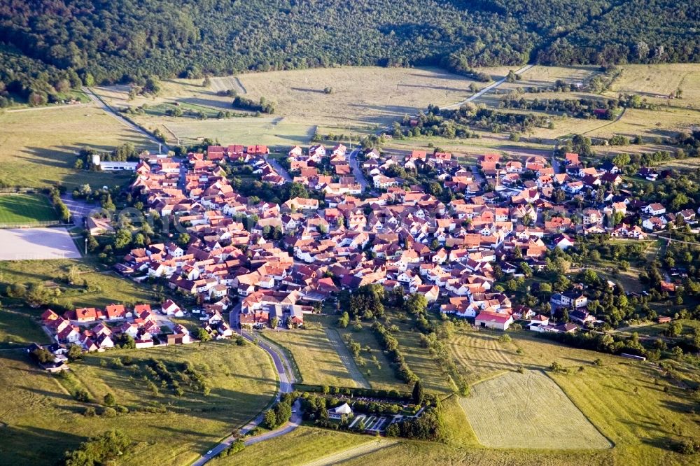 Wörth am Rhein from above - Village - view on the edge of agricultural fields and farmland in the district Buechelberg in Woerth am Rhein in the state Rhineland-Palatinate