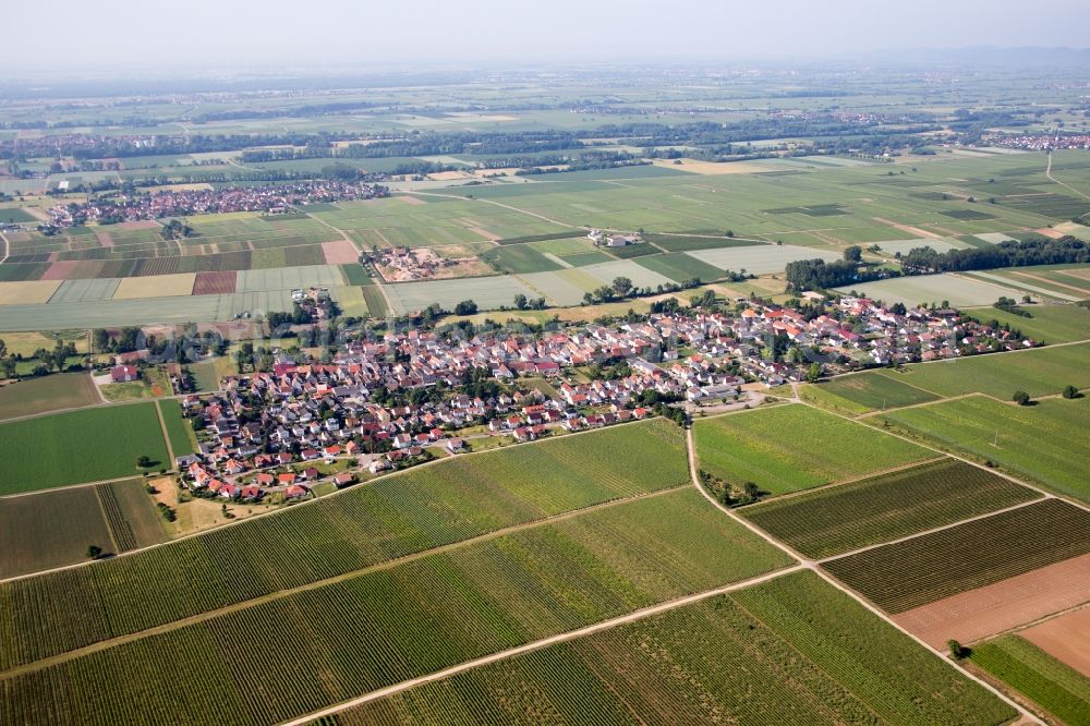 Neustadt an der Weinstraße from the bird's eye view: Village - view on the edge of agricultural fields and farmland in the district Duttweiler in Neustadt an der Weinstrasse in the state Rhineland-Palatinate