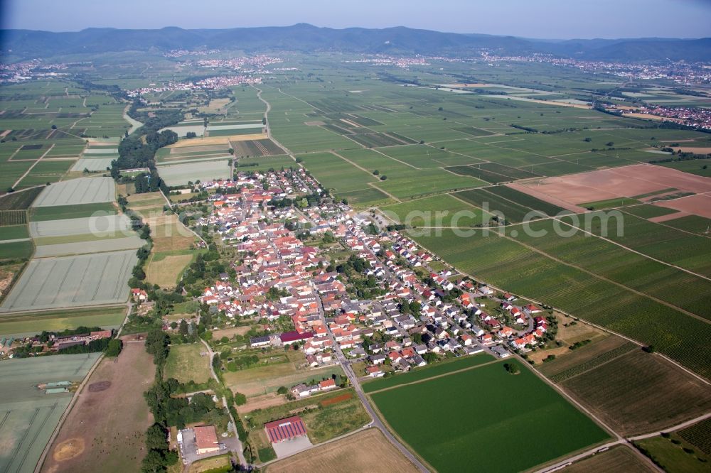 Aerial image Neustadt an der Weinstraße - Village - view on the edge of agricultural fields and farmland in the district Duttweiler in Neustadt an der Weinstrasse in the state Rhineland-Palatinate