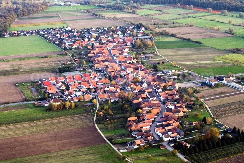 Erlenbach bei Kandel from the bird's eye view: Village - view on the edge of agricultural fields and farmland in the district Gewerbegebiet Horst in Erlenbach bei Kandel in the state Rhineland-Palatinate