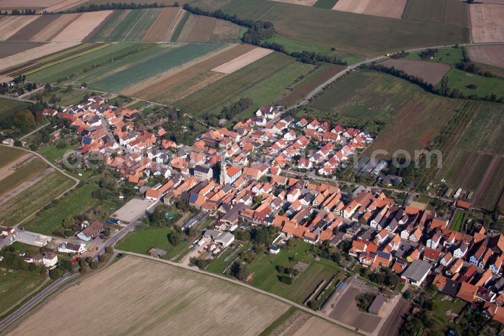 Aerial photograph Erlenbach bei Kandel - Village - view on the edge of agricultural fields and farmland in the district Gewerbegebiet Horst in Erlenbach bei Kandel in the state Rhineland-Palatinate