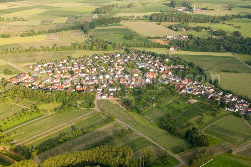 Aerial photograph Rheinau - Village - view on the edge of agricultural fields and farmland in the district Honau in Rheinau in the state Baden-Wuerttemberg, Germany