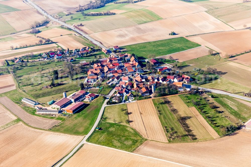 Betschdorf from the bird's eye view: Village - view on the edge of agricultural fields and farmland in the district Kuhlendorf in Betschdorf in Grand Est, France