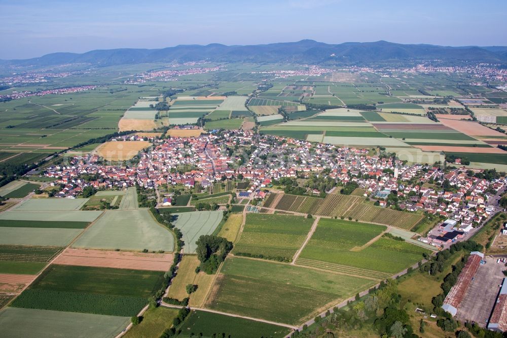 Neustadt an der Weinstraße from the bird's eye view: Village - view on the edge of agricultural fields and farmland in the district Lachen-Speyerdorf in Neustadt an der Weinstrasse in the state Rhineland-Palatinate, Germany