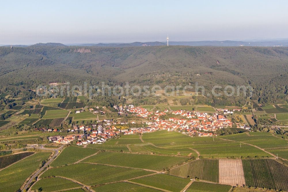 Bad Dürkheim from the bird's eye view: Village - view on the edge of agricultural fields and farmland in the district Leistadt in Bad Duerkheim in the state Rhineland-Palatinate, Germany