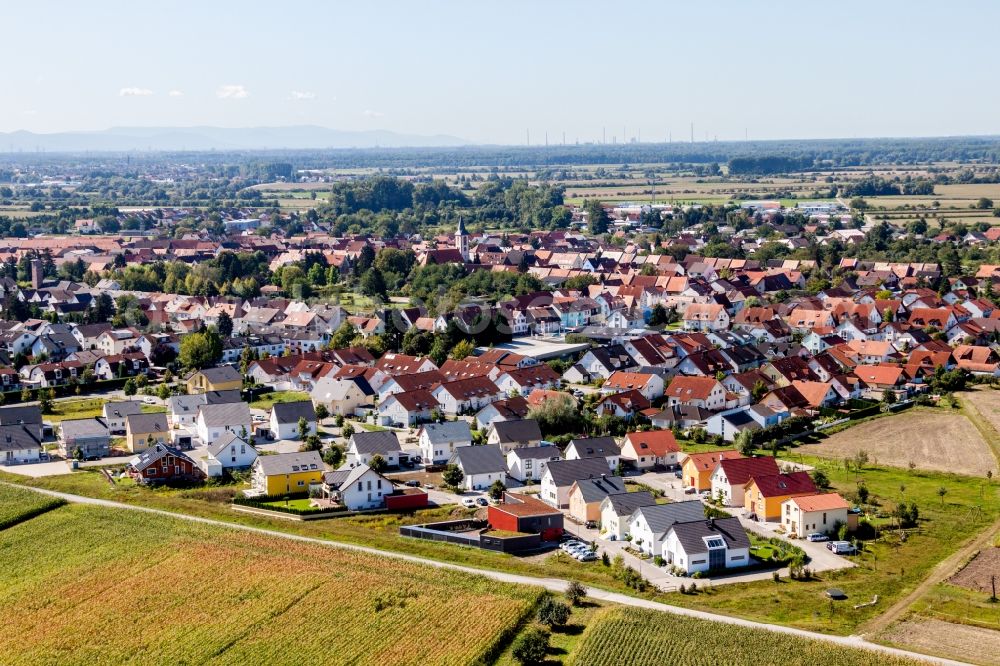 Aerial photograph Dettenheim - Village - view on the edge of agricultural fields and farmland in the district Liedolsheim in Dettenheim in the state Baden-Wuerttemberg, Germany