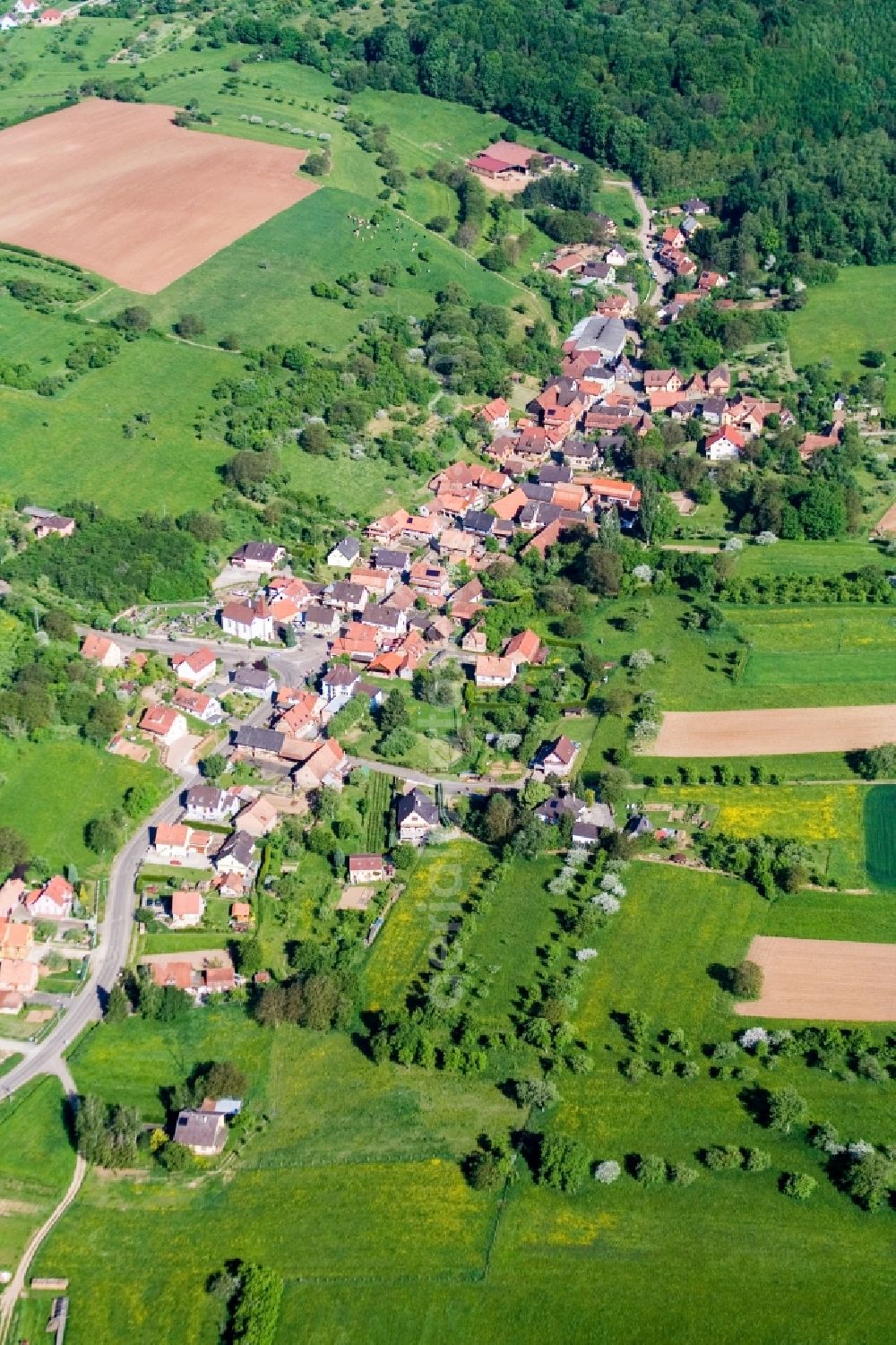 Gœrsdorf from above - Village - view on the edge of agricultural fields and farmland in the district Mitschdorf in GA?rsdorf in Grand Est, France