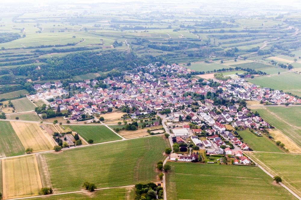 Breisach am Rhein from the bird's eye view: Village - view on the edge of agricultural fields and farmland in the district Niederrimsingen in Breisach am Rhein in the state Baden-Wuerttemberg, Germany