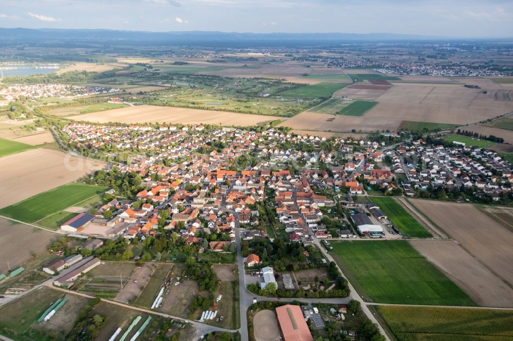 Biblis from the bird's eye view: Village - view on the edge of agricultural fields and farmland in the district Nordheim in Biblis in the state Hesse, Germany