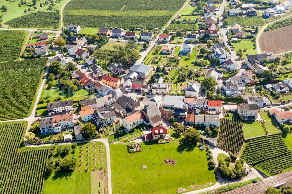 Palzem from the bird's eye view: Village - view on the edge of agricultural fields and farmland in the district Wehr in Palzem in the state Rhineland-Palatinate, Germany