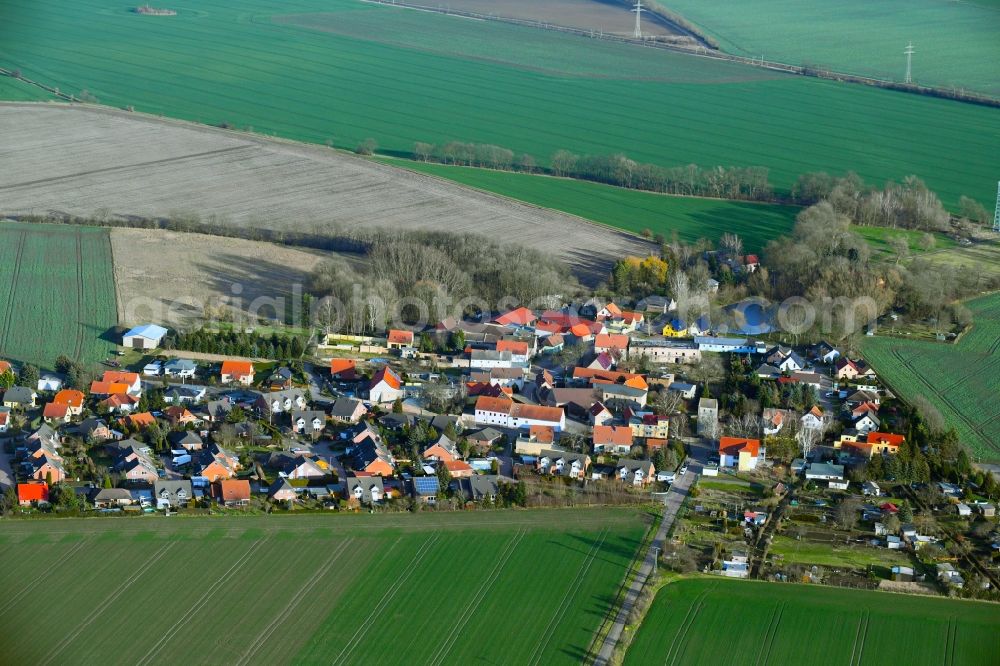 Aerial image Plössnitz - Village - view on the edge of agricultural fields and farmland in Ploessnitz in the state Saxony-Anhalt, Germany