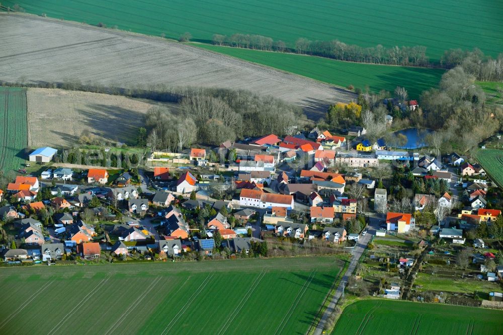 Aerial photograph Plössnitz - Village - view on the edge of agricultural fields and farmland in Ploessnitz in the state Saxony-Anhalt, Germany