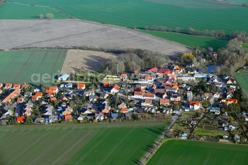 Plössnitz from above - Village - view on the edge of agricultural fields and farmland in Ploessnitz in the state Saxony-Anhalt, Germany