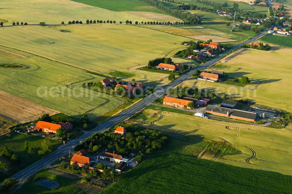 Aerial image Raden - Village - view on the edge of agricultural fields and farmland in Raden in the state Mecklenburg - Western Pomerania, Germany