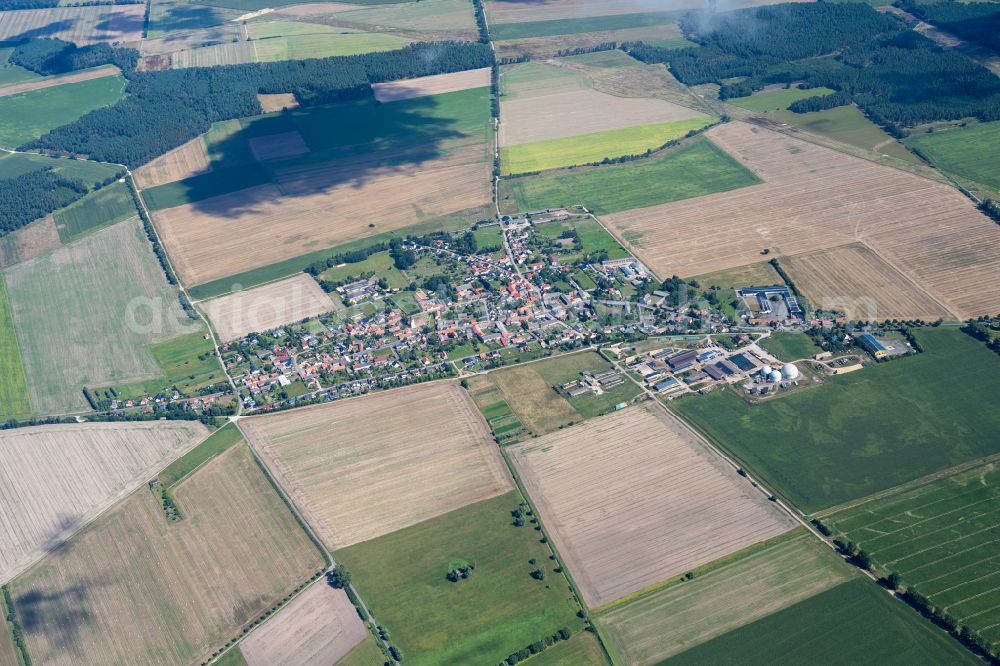 Rochau from the bird's eye view: Village - view on the edge of agricultural fields and farmland in Rochau in the state Saxony-Anhalt, Germany