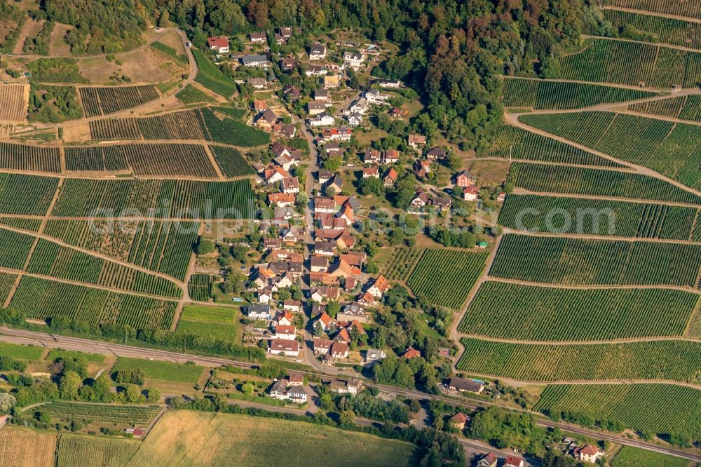 Aerial image Schallstadt - Village - view on the edge of agricultural fields and farmland in Schallstadt in the state Baden-Wurttemberg, Germany