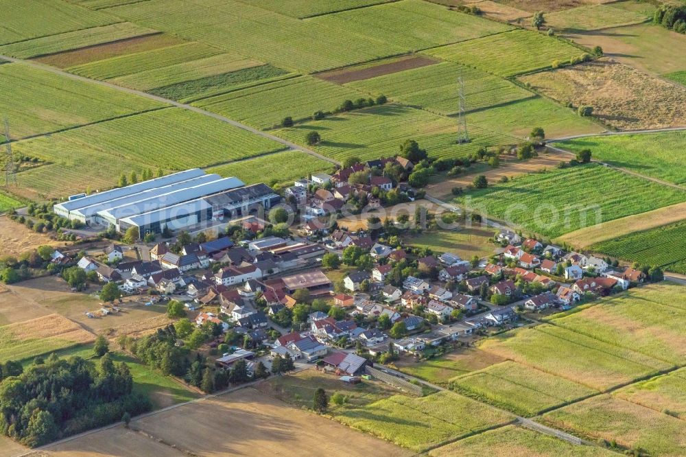 Aerial photograph Schmidhofen - Village - view on the edge of agricultural fields and farmland in Schmidhofen in the state Baden-Wurttemberg, Germany