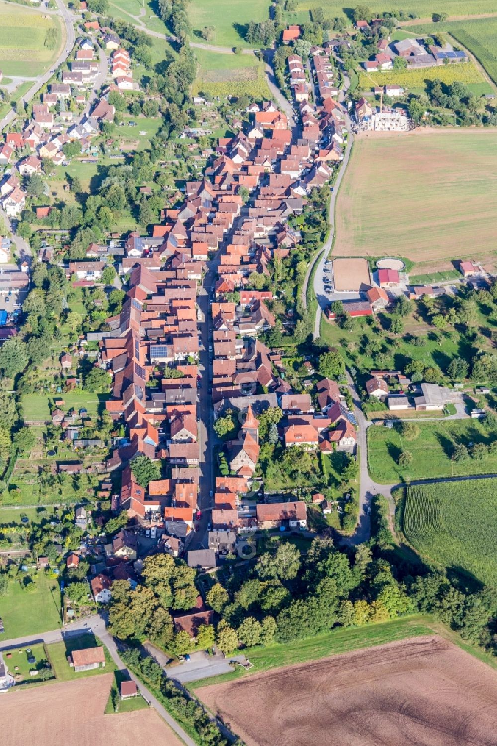 Illingen from the bird's eye view: Village - view on the edge of agricultural fields and farmland in Schuetzingen in the state Baden-Wurttemberg, Germany