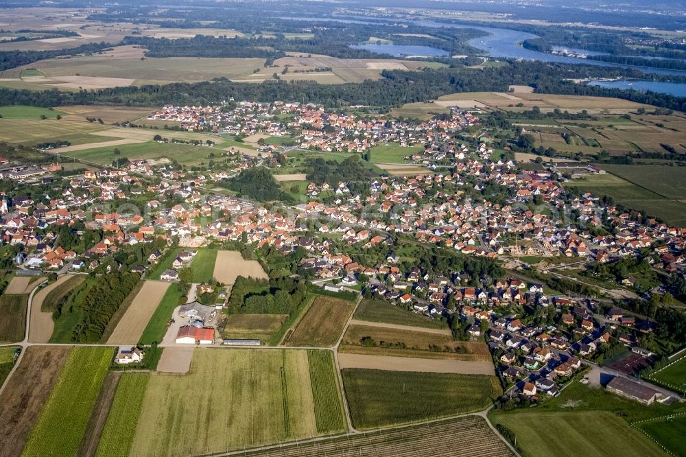 Sessenheim from the bird's eye view: Village - view on the edge of agricultural fields and farmland in Sessenheim in Grand Est, France