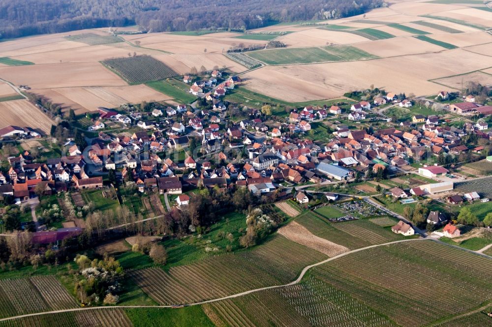 Aerial image Steinseltz - Village - view on the edge of agricultural fields and farmland in Steinseltz in Grand Est, France