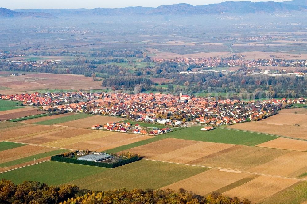 Aerial image Steinweiler - Village - view on the edge of agricultural fields and farmland in Steinweiler in the state Rhineland-Palatinate