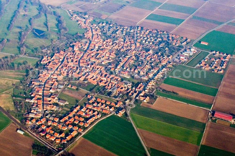 Steinweiler from above - Village - view on the edge of agricultural fields and farmland in Steinweiler in the state Rhineland-Palatinate