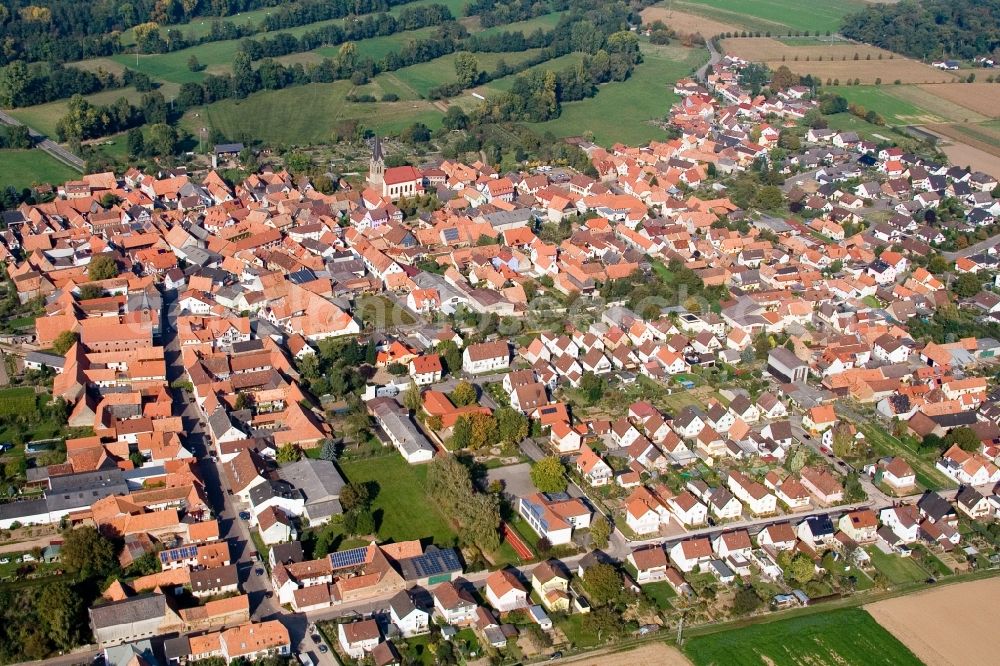 Steinweiler from the bird's eye view: Village - view on the edge of agricultural fields and farmland in Steinweiler in the state Rhineland-Palatinate