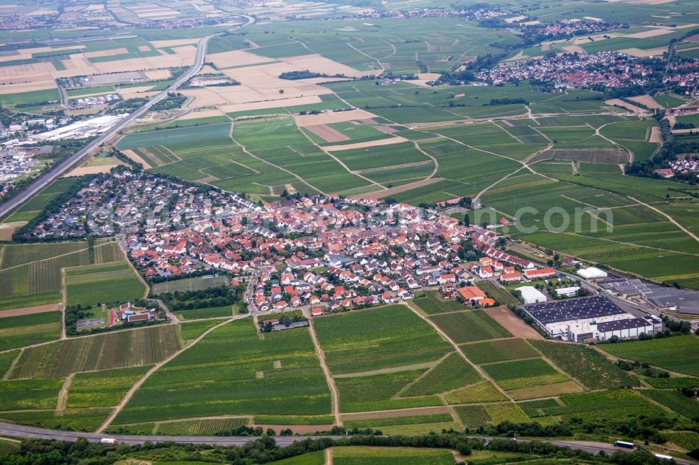 Tiefenthal from above - Village - view on the edge of agricultural fields and farmland in Tiefenthal in the state Rhineland-Palatinate, Germany