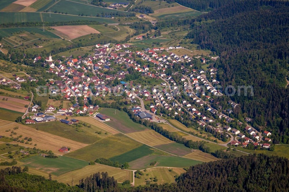 Aerial image Trichtingen - Village - view on the edge of agricultural fields and farmland in Trichtingen in the state Baden-Wurttemberg, Germany