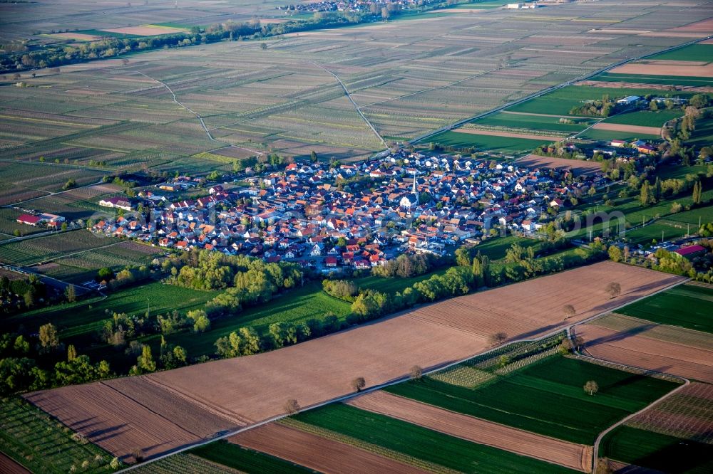 Venningen from the bird's eye view: Village - view on the edge of agricultural fields and farmland in Venningen in the state Rhineland-Palatinate, Germany