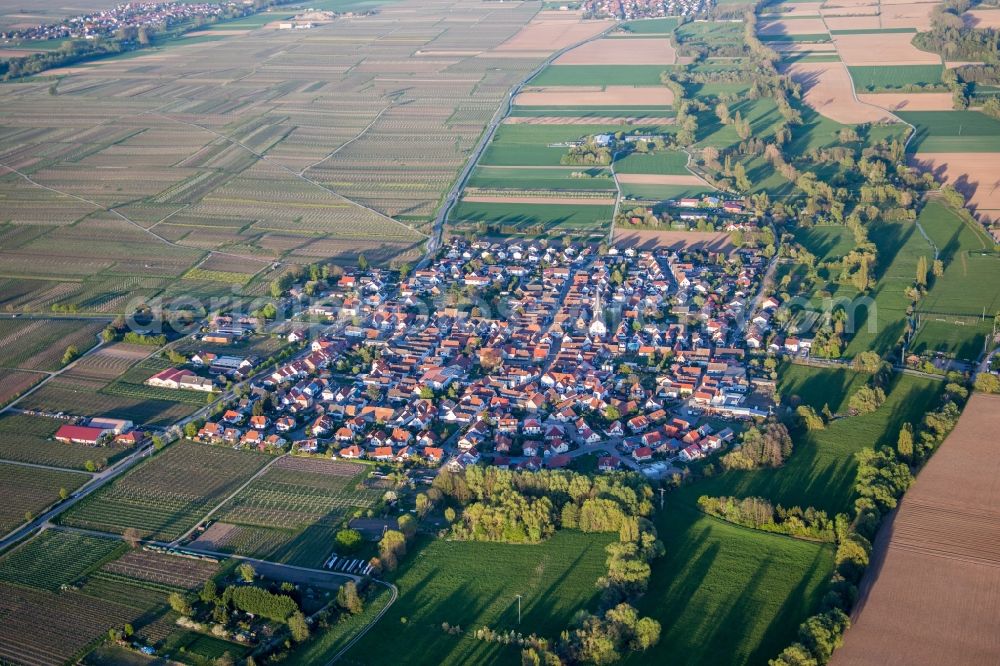 Aerial image Venningen - Village - view on the edge of agricultural fields and farmland in Venningen in the state Rhineland-Palatinate, Germany