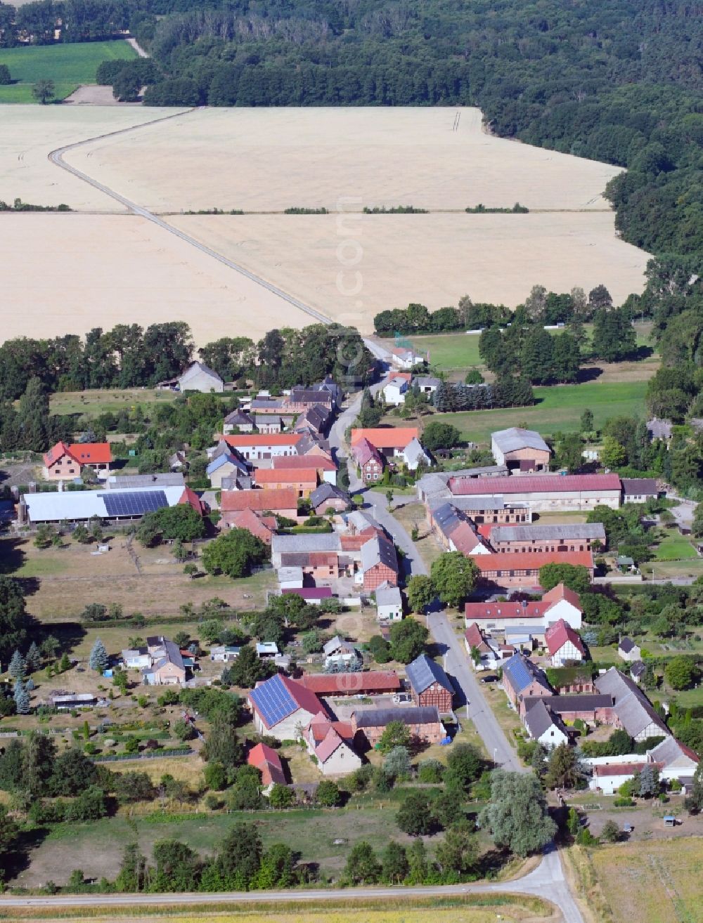 Aerial photograph Vienau - Village - view on the edge of agricultural fields and farmland in Vienau in the state Saxony-Anhalt, Germany