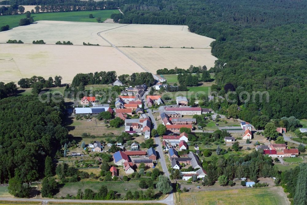 Vienau from above - Village - view on the edge of agricultural fields and farmland in Vienau in the state Saxony-Anhalt, Germany