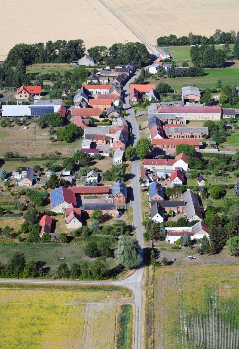 Vienau from the bird's eye view: Village - view on the edge of agricultural fields and farmland in Vienau in the state Saxony-Anhalt, Germany