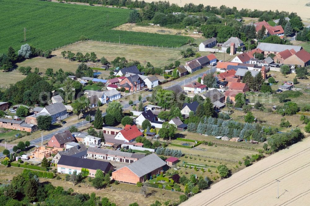 Aerial photograph Vietzen - Village - view on the edge of agricultural fields and farmland in Vietzen in the state Saxony-Anhalt, Germany