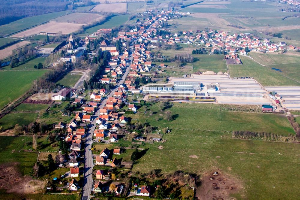 Walbourg from the bird's eye view: Village - view on the edge of agricultural fields and farmland in Walbourg in Grand Est, France