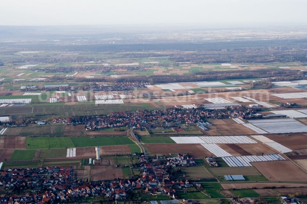 Weingarten (Pfalz) from the bird's eye view: Village - view on the edge of agricultural fields and farmland in Weingarten (Pfalz) in the state Rhineland-Palatinate, Germany