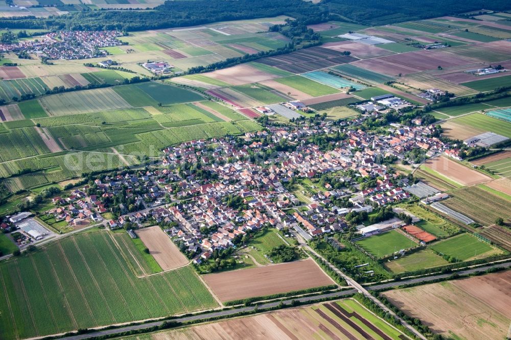 Weingarten (Pfalz) from the bird's eye view: Village - view on the edge of agricultural fields and farmland in Weingarten (Pfalz) in the state Rhineland-Palatinate, Germany