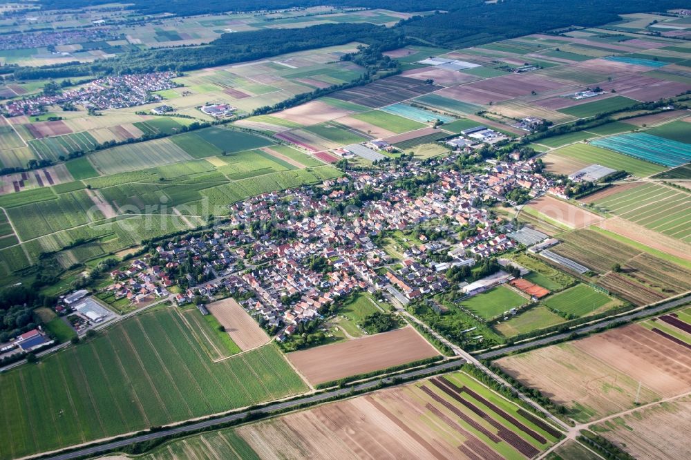 Aerial image Weingarten (Pfalz) - Village - view on the edge of agricultural fields and farmland in Weingarten (Pfalz) in the state Rhineland-Palatinate, Germany