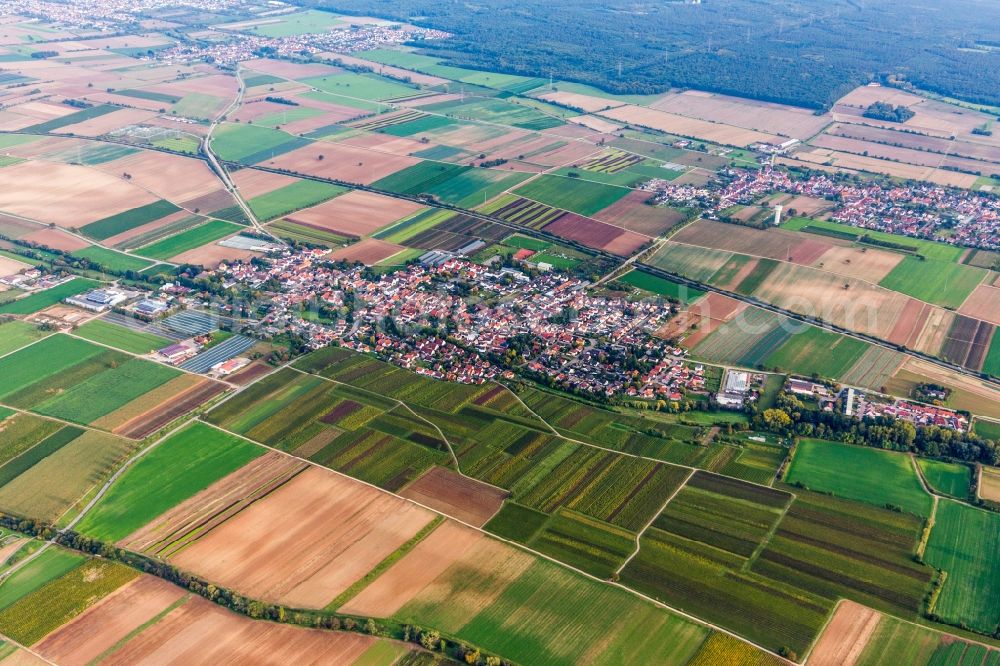 Aerial photograph Weingarten (Pfalz) - Village - view on the edge of agricultural fields and farmland in Weingarten (Pfalz) in the state Rhineland-Palatinate, Germany