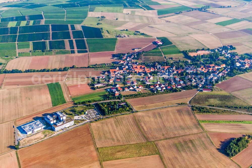 Aerial photograph Wendelsheim - Village - view on the edge of agricultural fields and farmland in Wendelsheim in the state Rhineland-Palatinate, Germany