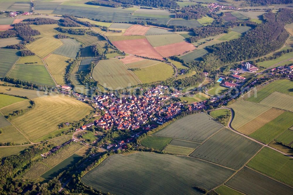 Wenkheim from the bird's eye view: Village - view on the edge of agricultural fields and farmland in Wenkheim in the state Baden-Wurttemberg, Germany