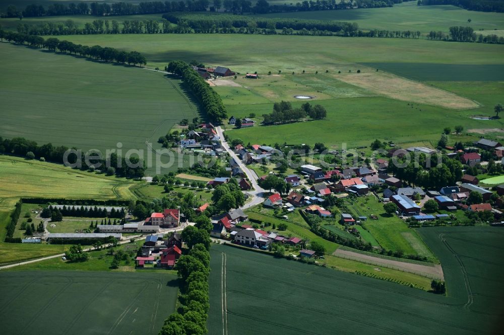 Aerial photograph Benzin - Agricultural land and field borders surround the settlement area of the village in Benzin in the state Mecklenburg - Western Pomerania, Germany