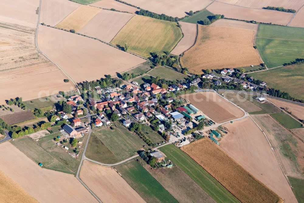 Butterstadt from above - Agricultural land and field borders surround the settlement area of the village in Butterstadt in the state Hesse, Germany