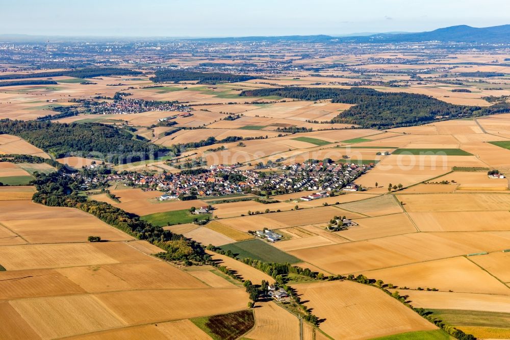 Aerial image Erbstadt - Agricultural land and field borders surround the settlement area of the village in Erbstadt in the state Hesse, Germany