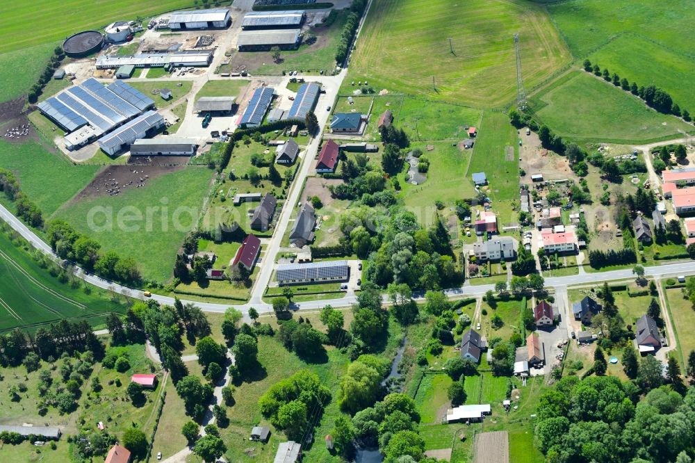 Friedrichsruhe from the bird's eye view: Agricultural land and field borders surround the settlement area of the village in Friedrichsruhe in the state Mecklenburg - Western Pomerania, Germany